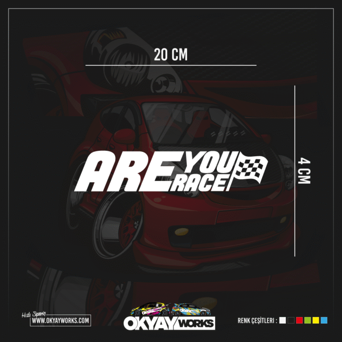 Are You Race Sticker
