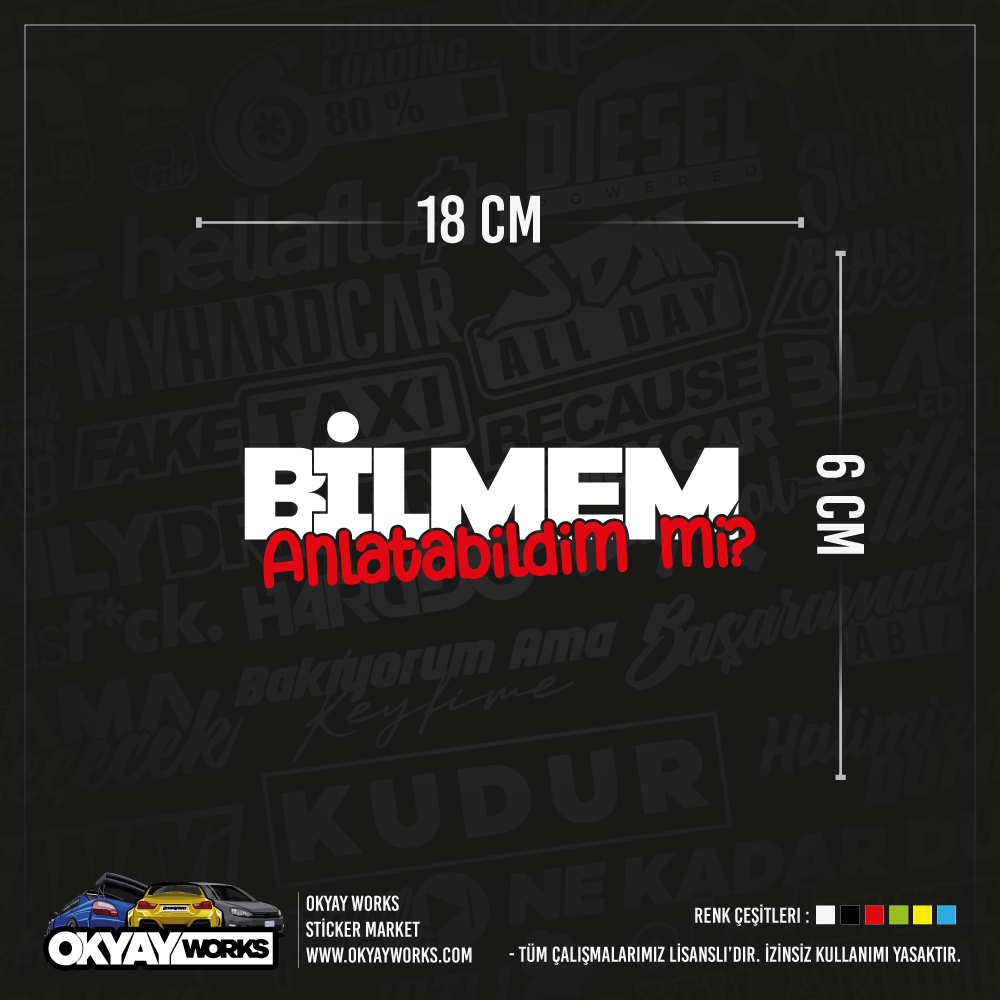 Bilmem Anlatabildin Mi Sticker