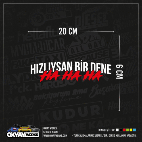 Hızlıysan Bir Dene Sticker