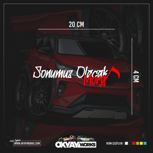 Sonumuz Olacak Morg Sticker