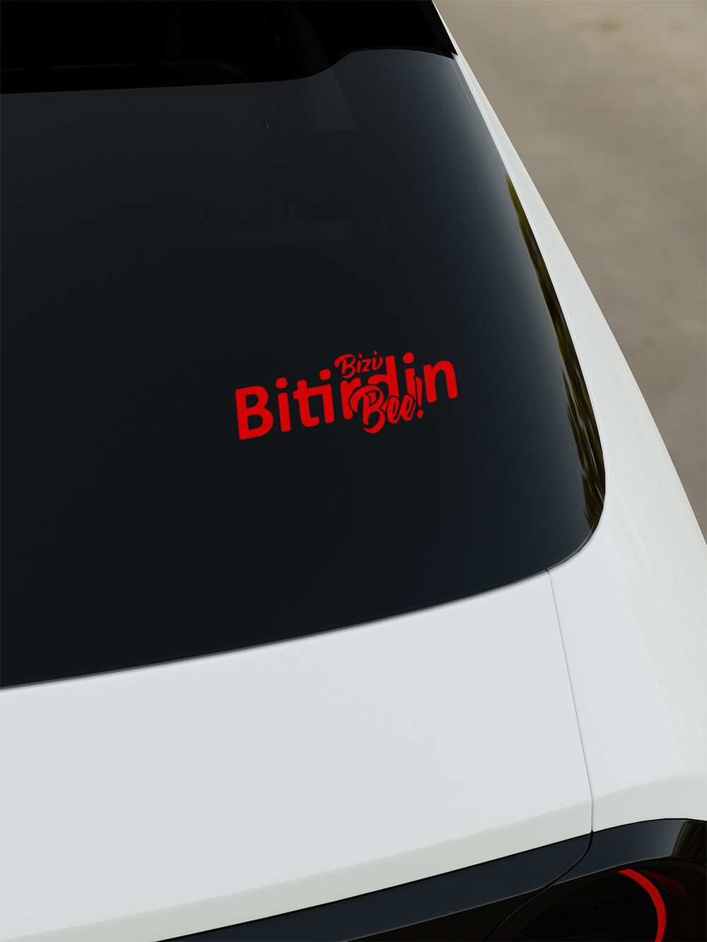 bizi3
