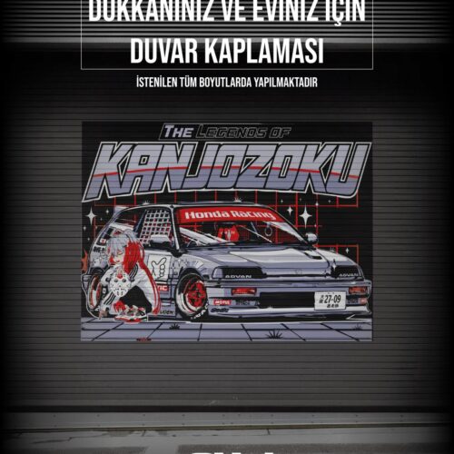 Duvar Kaplama #2