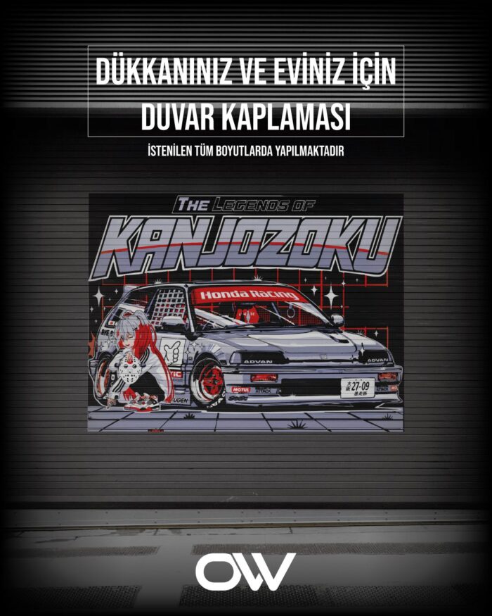 Duvar Kaplama #2