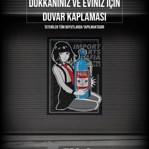 Duvar Kaplama #3