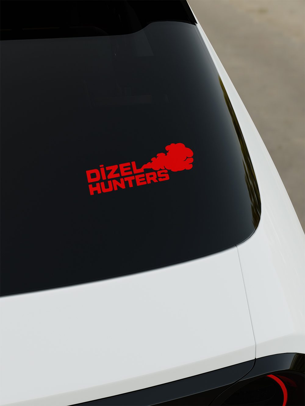 diz3