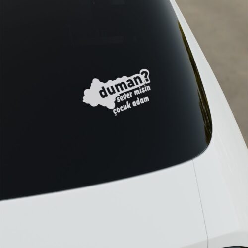 Duman Severmisin Çocuk Adam Sticker