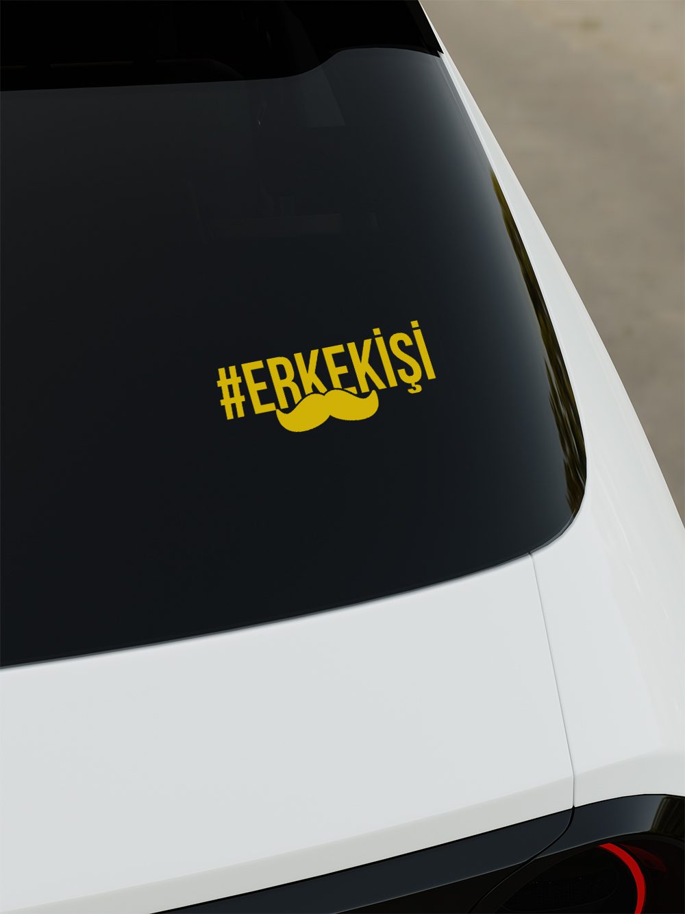 erkek4